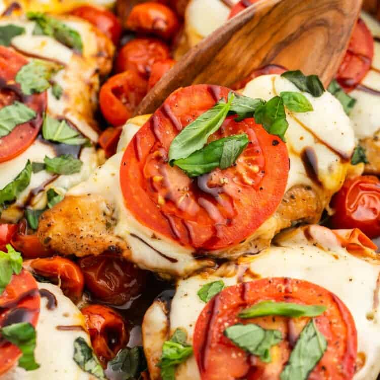 closeup of chicken cutlets with caprese toppings including mozzarella, tomato slices, basil and a drizzle of balsamic.