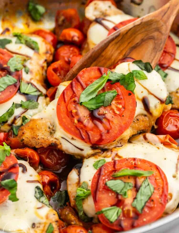closeup of chicken cutlets with caprese toppings including mozzarella, tomato slices, basil and a drizzle of balsamic.