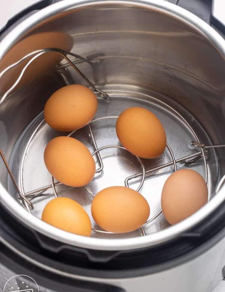 Six brown eggs in the instant pot placed on a trivet