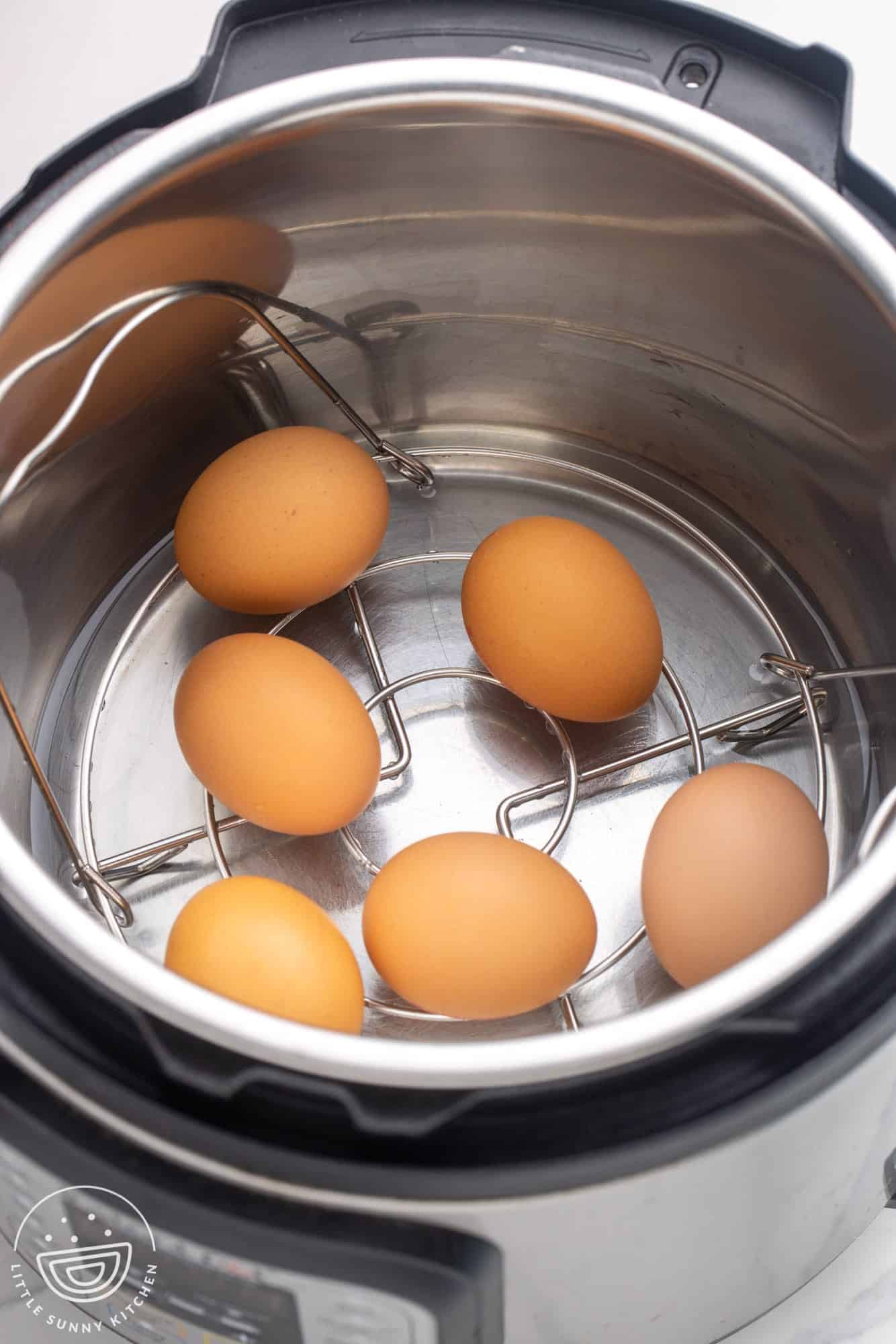 Six brown eggs in the instant pot placed on a trivet