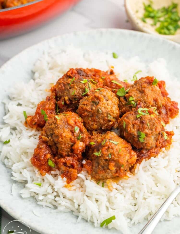 meatballs in tomato sauce with rice on a plate.