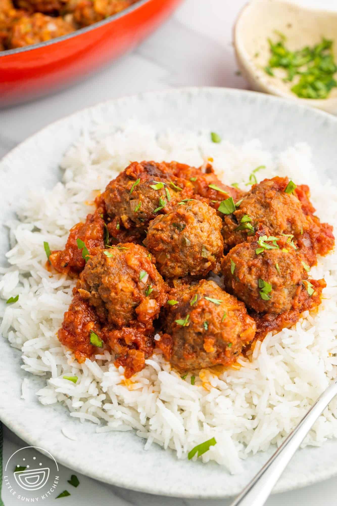 meatballs in tomato sauce with rice on a plate.