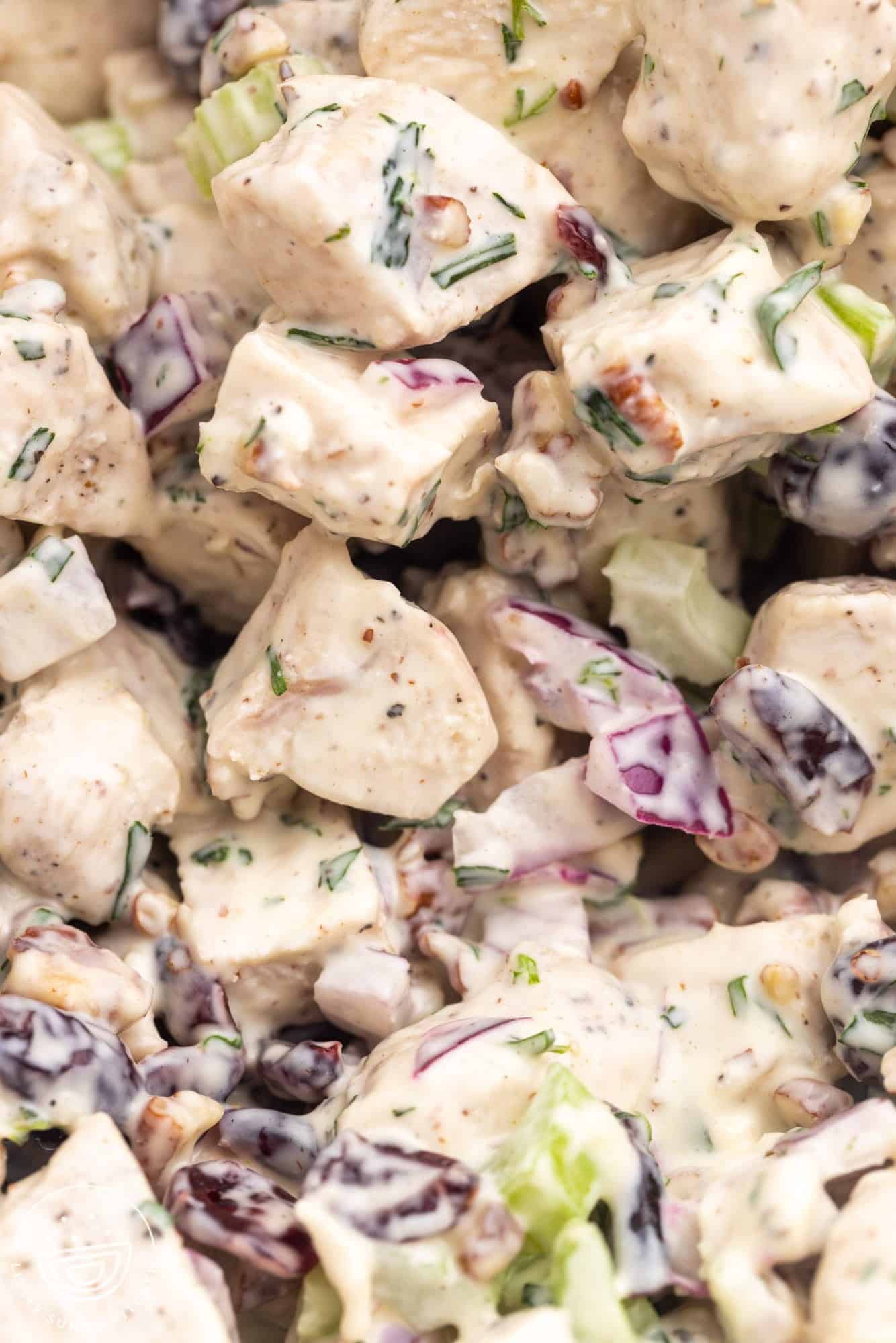 closeup of chicken salad with celery, cranberries, and tarragon.