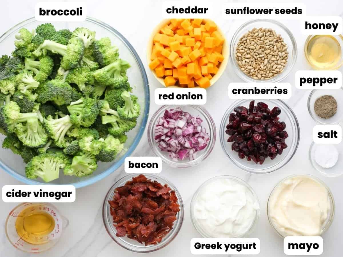 The ingredients for broccoli salad with bacon, cranberries, and sunflower seeds, measured into small bowls and arranged on a counter.