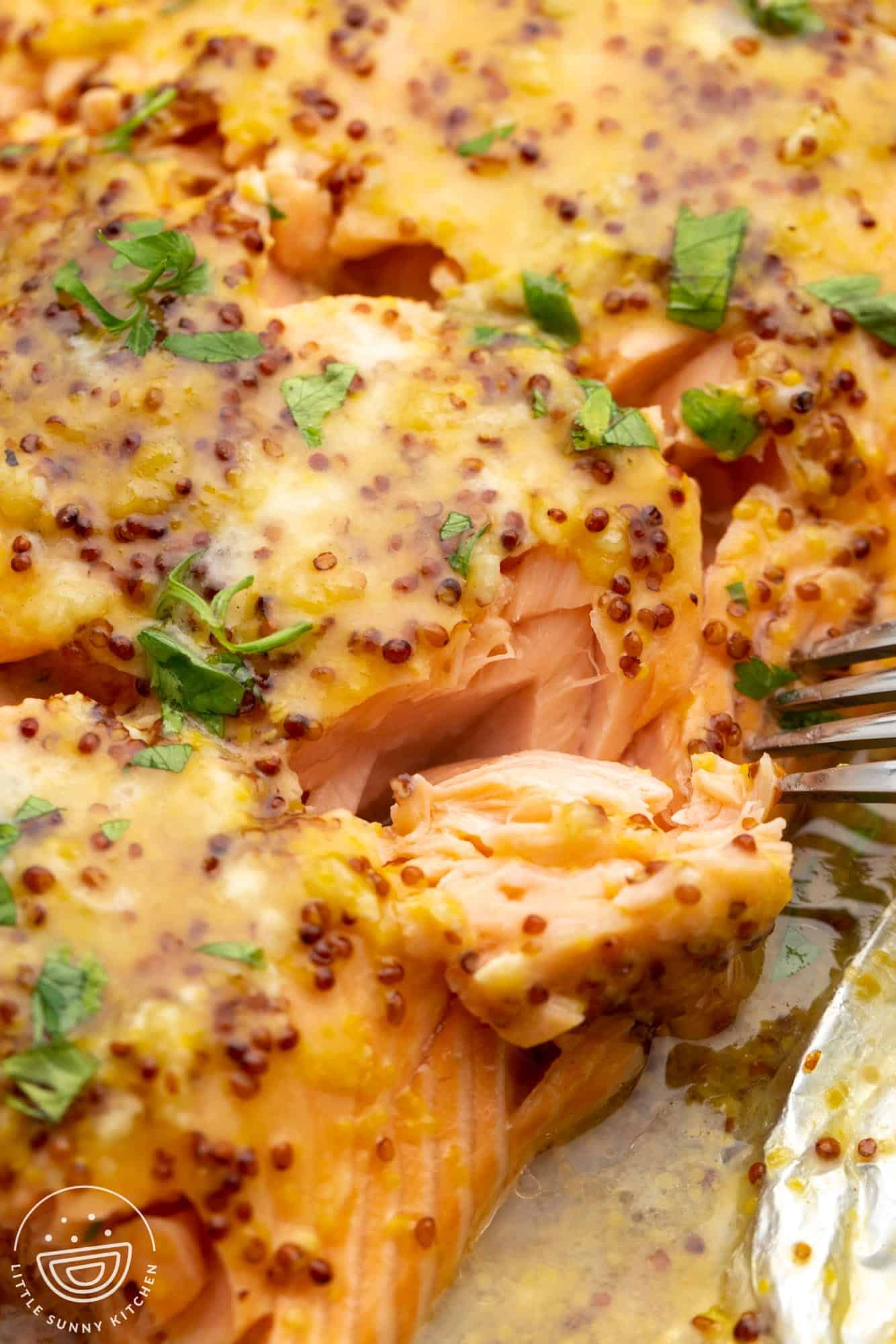 honey mustard salmon, flaked by a fork.