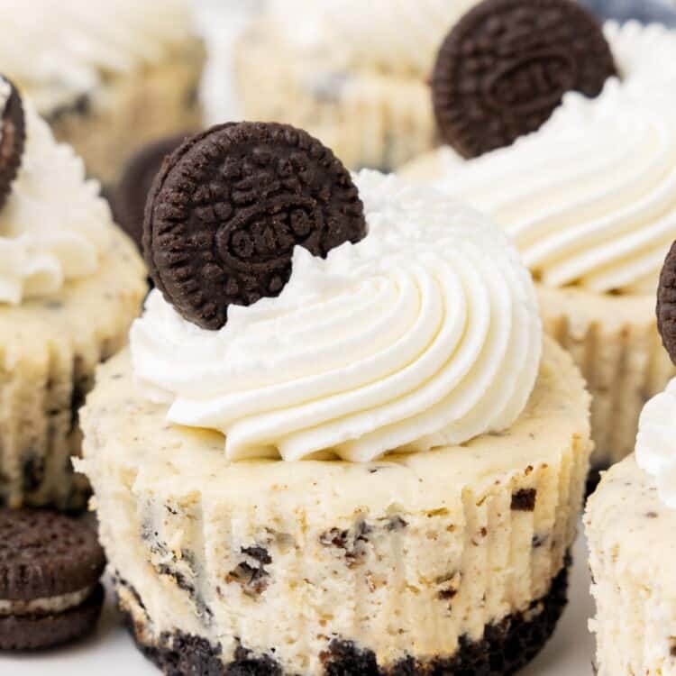 cupcake sized mini oreo cheesecakes with whipped cream and mini oreos on top.