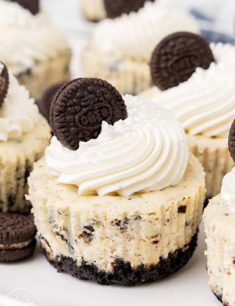 cupcake sized mini oreo cheesecakes with whipped cream and mini oreos on top.