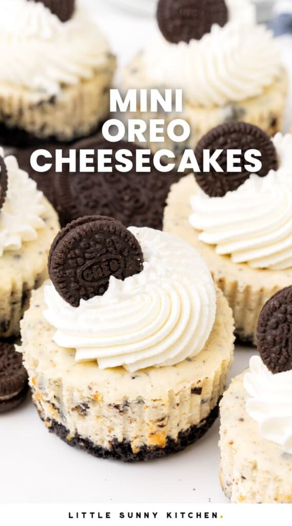 cupcake sized mini oreo cheesecakes. Text overlay says "mini oreo cheesecakes"