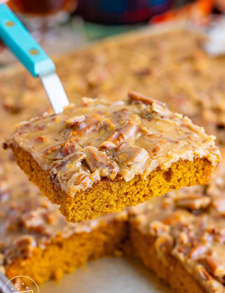 a piece of pumpkin sheet cake with pecan frosting, held up with a spatula.