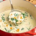 a red pot of chicken florentine soup with a silver ladle.