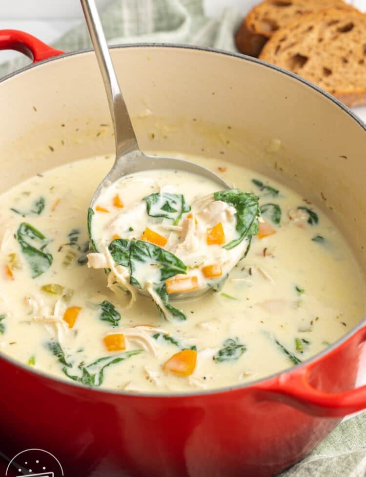 a red pot of chicken florentine soup with a silver ladle.