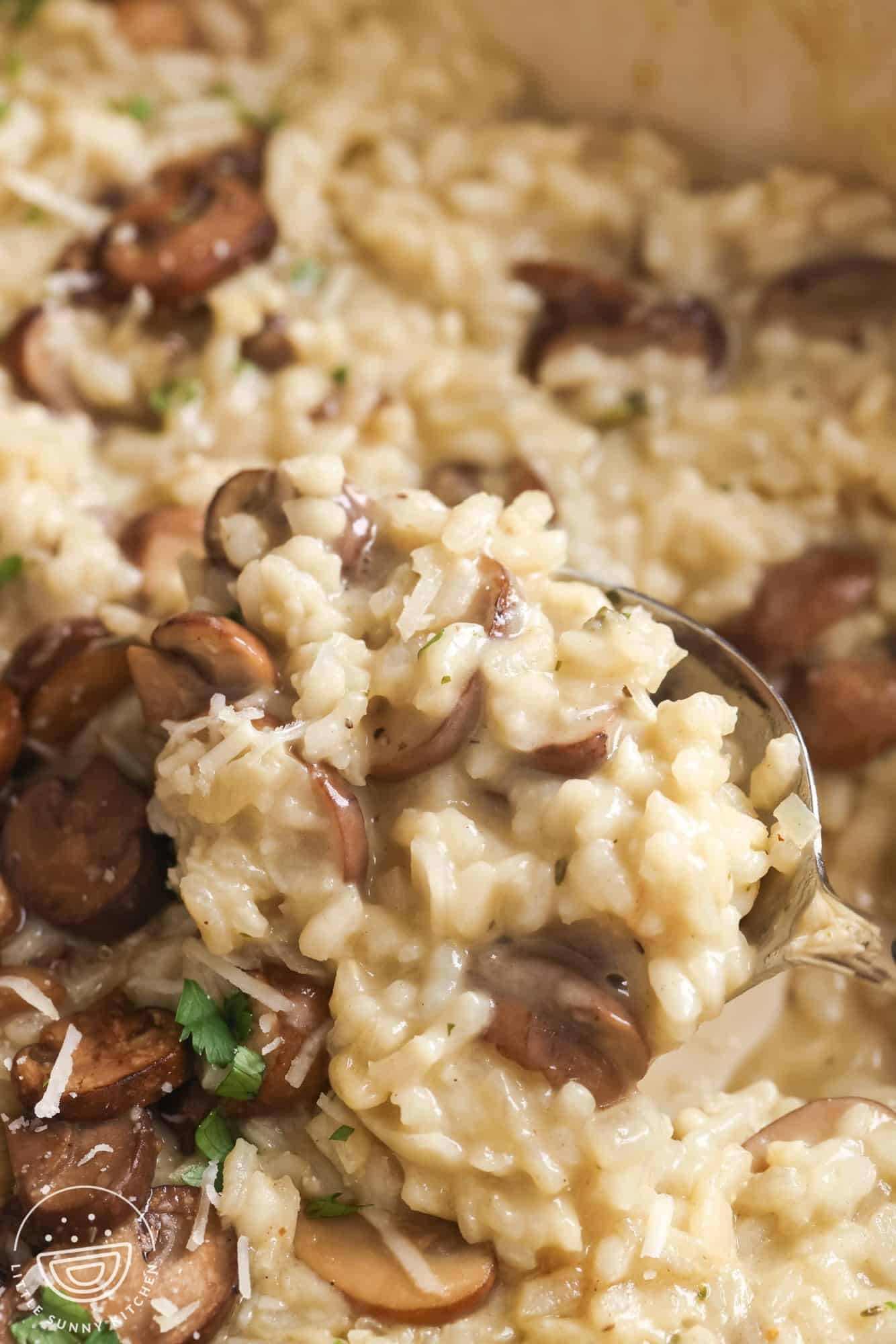 Close up shot of a spoonful of mushroom risotto