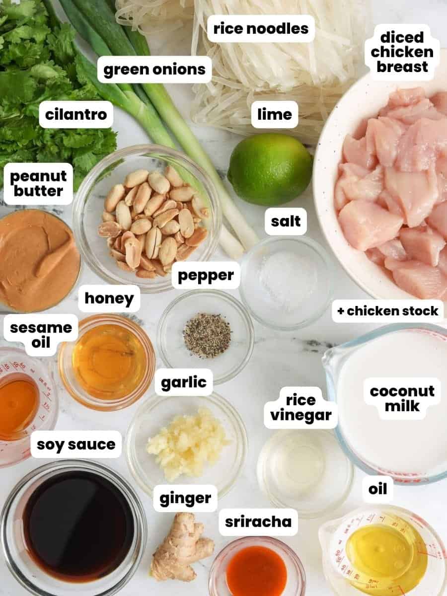 The ingredients needed to make homemade peanut noodles with chicken, all in small bowls.