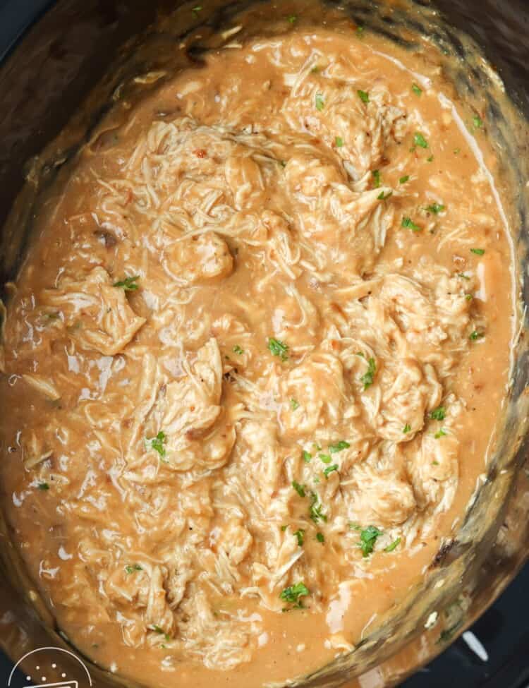 slow cooker chicken and gravy.