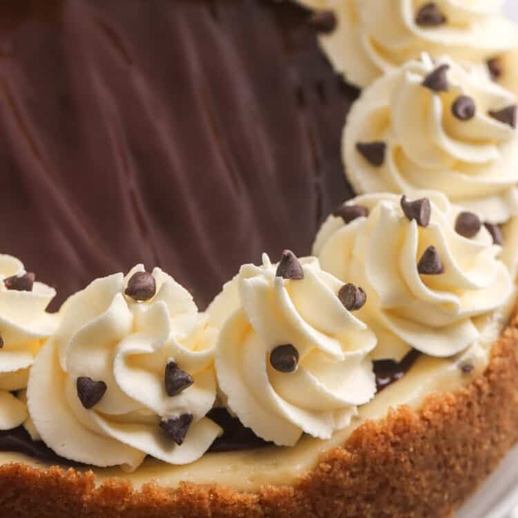 a chocolate chip cheesecake topped with chocolate ganache and whipped cream stars around the edge.