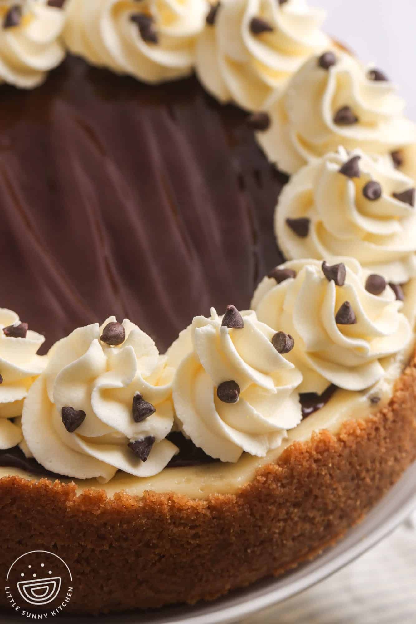 a chocolate chip cheesecake topped with chocolate ganache and whipped cream stars around the edge.