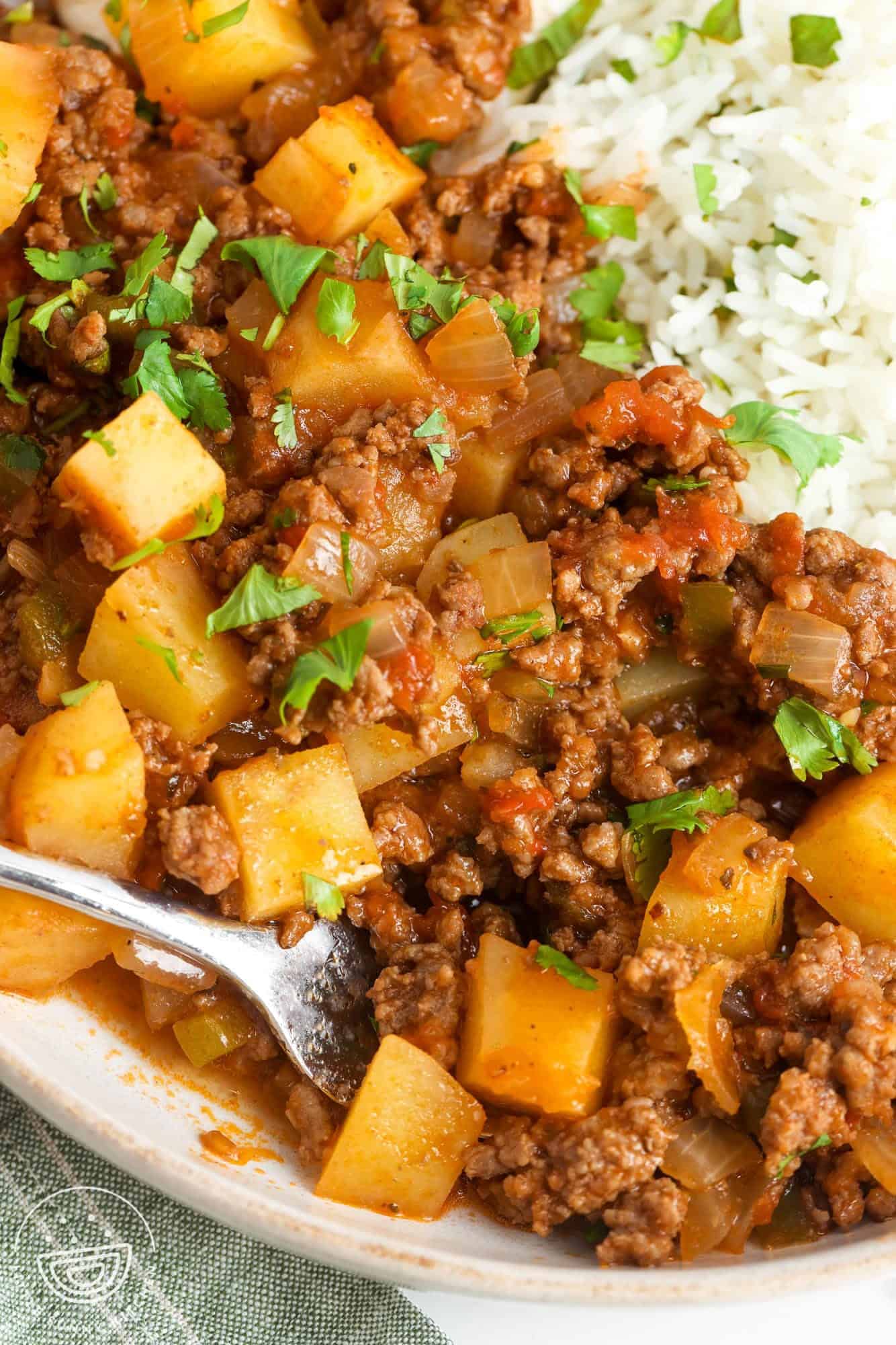 picadillo potatoes and meat on a dinner plate with rice.