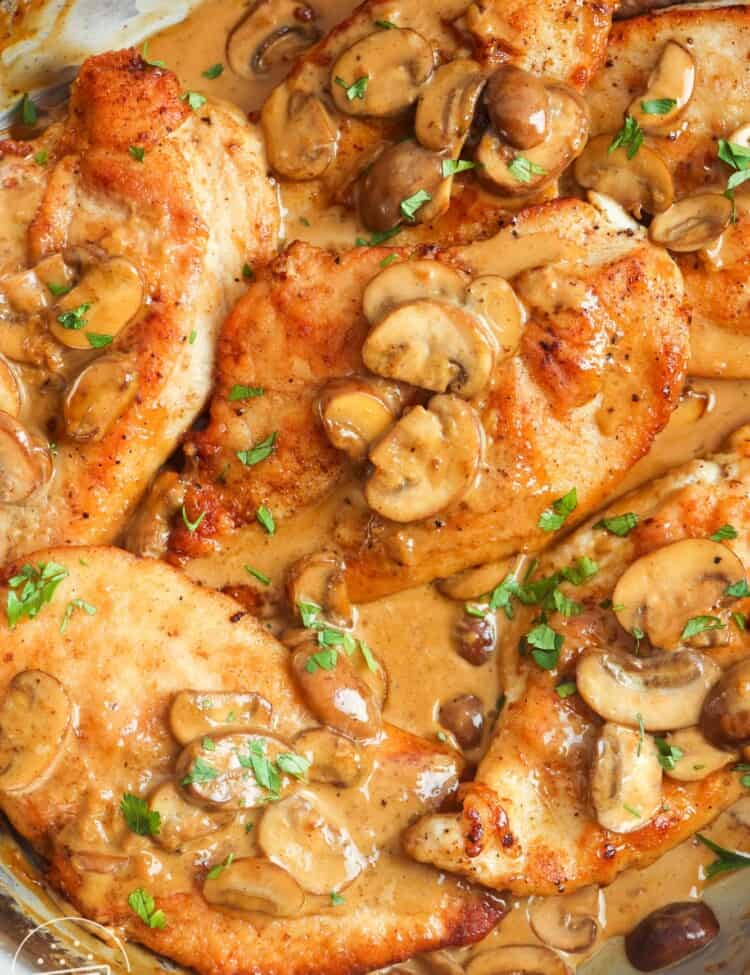 chicken cutlets in marsala wine sauce with mushrooms, in a stainless steel skillet.