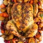 a white platter holding braised vegetables including potatoes, carrots, onions, orange slices, and cranberries. On top of the vegetables is a whole roasted chicken, garnished with rosemary.
