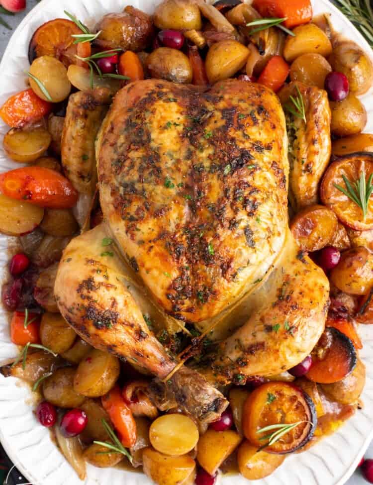 a white platter holding braised vegetables including potatoes, carrots, onions, orange slices, and cranberries. On top of the vegetables is a whole roasted chicken, garnished with rosemary.