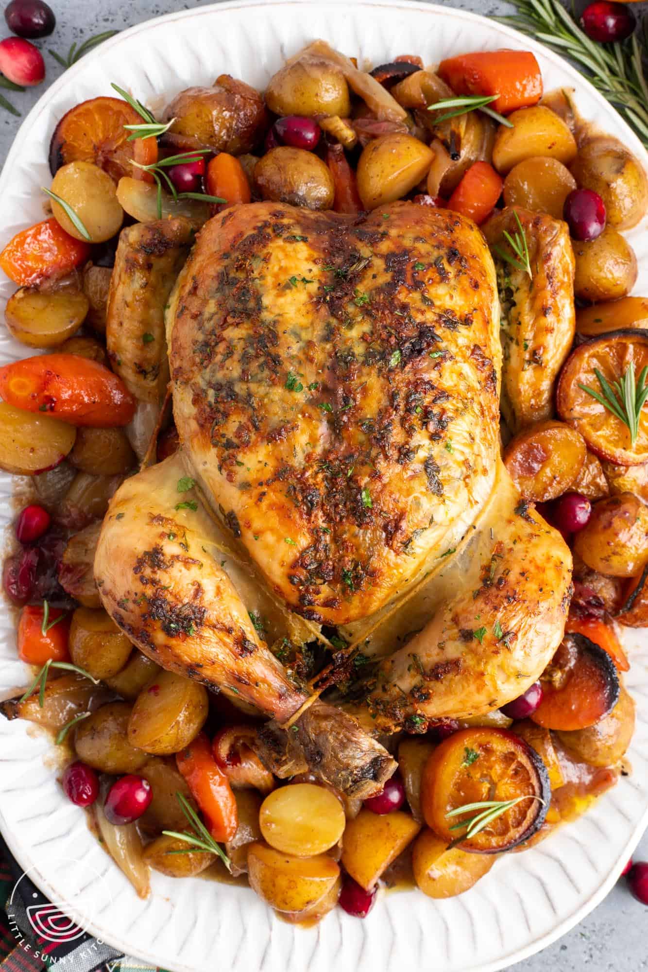 a white platter holding braised vegetables including potatoes, carrots, onions, orange slices, and cranberries. On top of the vegetables is a whole roasted chicken, garnished with rosemary.