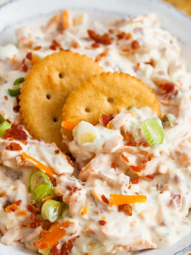 closeup of creamy million dollar dip with two ritz crackers stuck in the middle of the bowl.