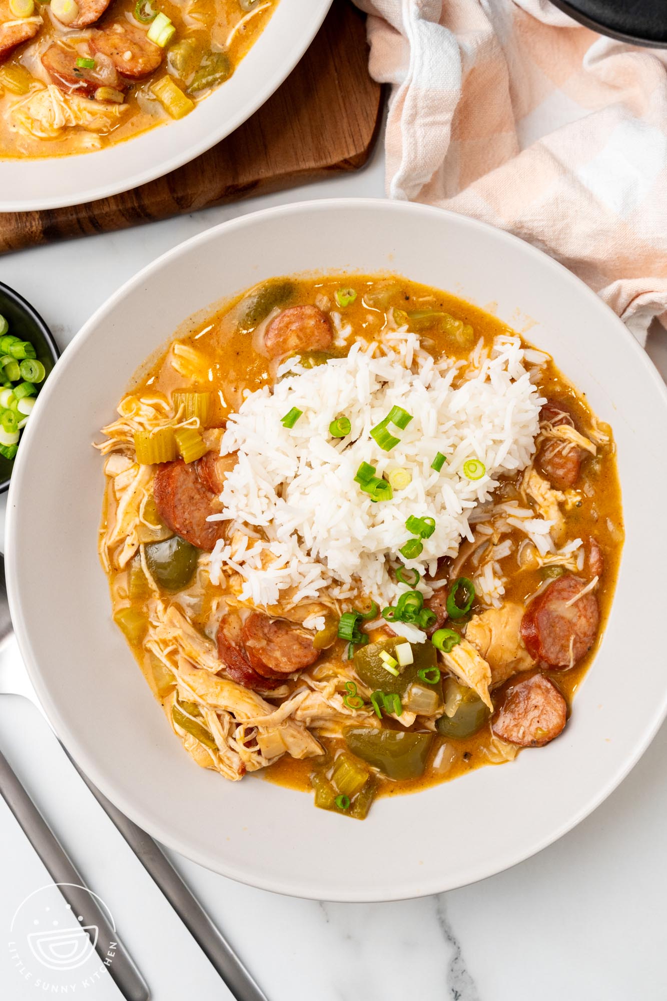 overhead view of a plate of shredded chicken and sausage gumbo with rice.