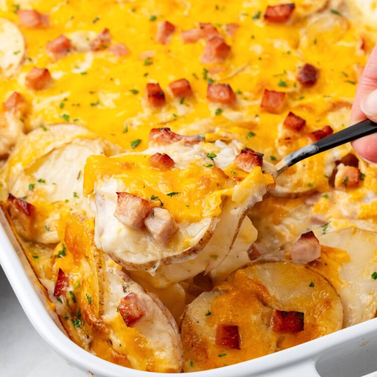 a white rectangular casserole of scalloped potatoes with ham.