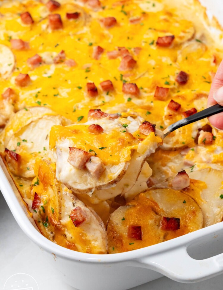 a white rectangular casserole of scalloped potatoes with ham.