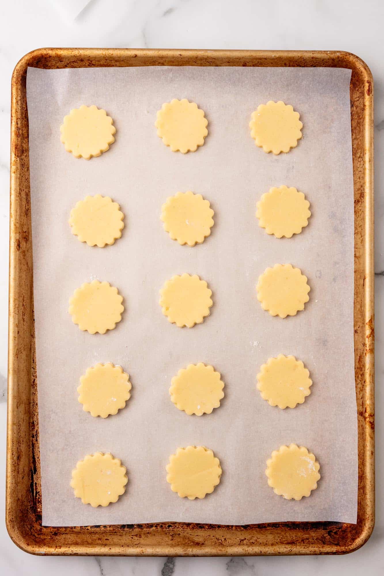 alfajores cut out cookies on a parchment lined baking sheet, before baking.