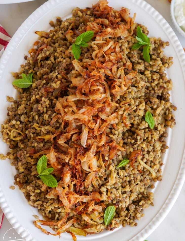 Overhead shot of Bulgur Mujadara served in a large oval white plate, topped with crispy onions and fresh mint leaves as a garnish