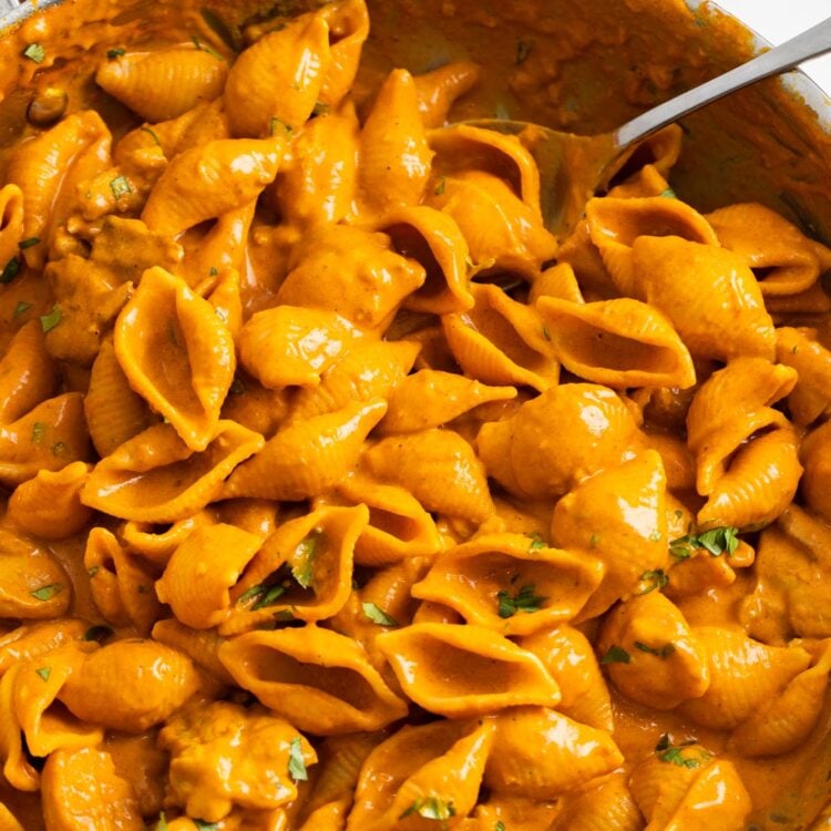 creamy pasta with butter chicken in a stainless steel skillet