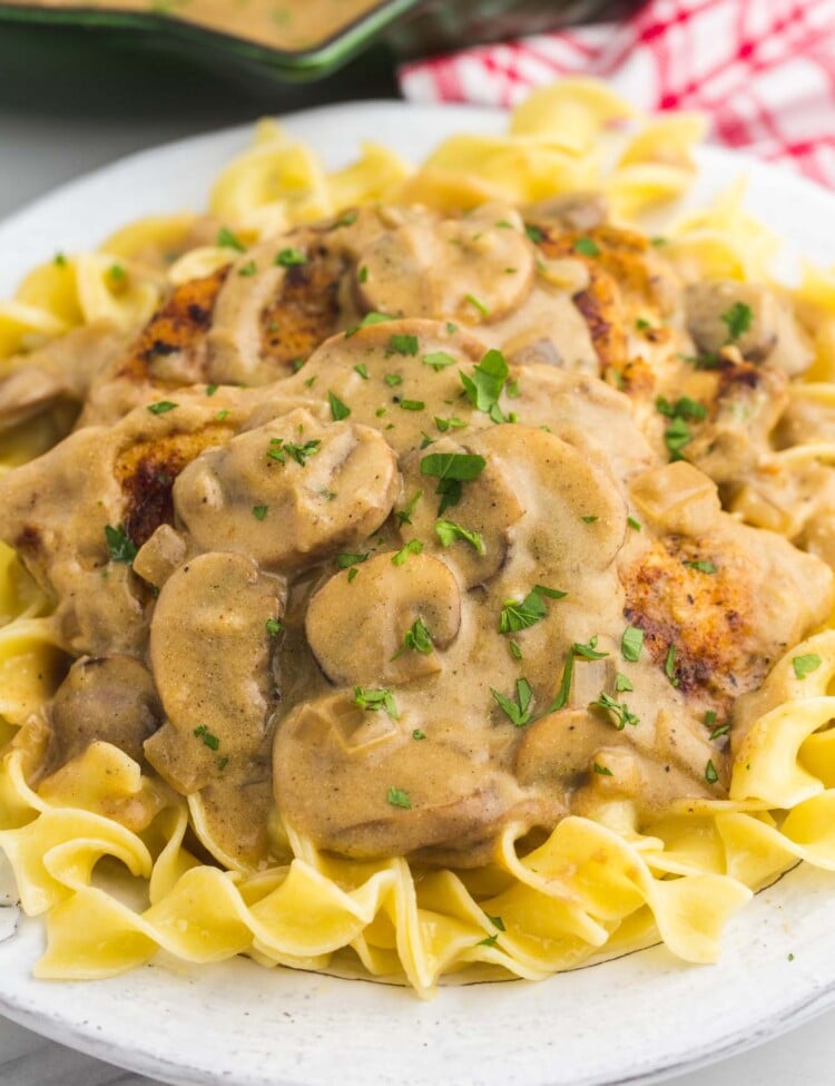 An angle shot of chicken stroganoff served over noodles, plated.