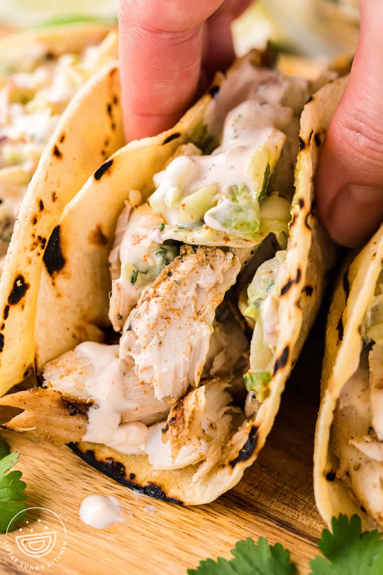 a hand is picking up a fish taco with creamy slaw that is inside of a grilled white corn tortilla