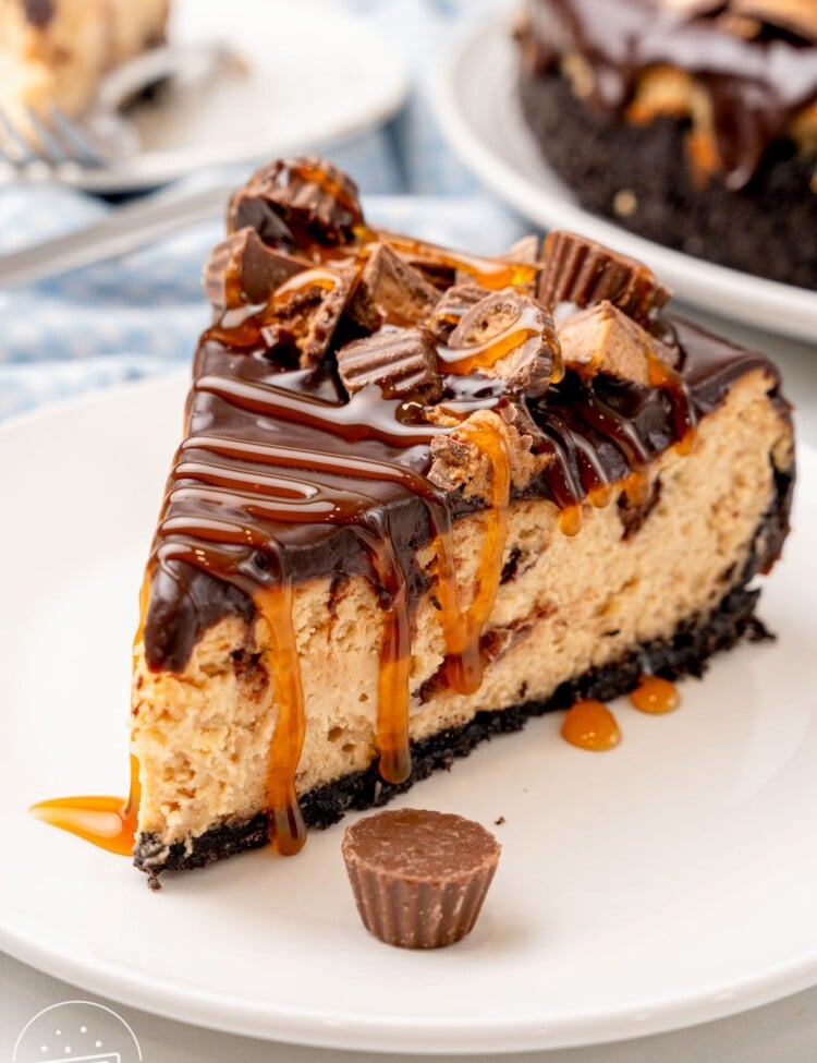 A small white plate holding a slice of homemade Reese's caramel cheesecake, drizzled with caramel sauce and topped with peanut butter cups.
