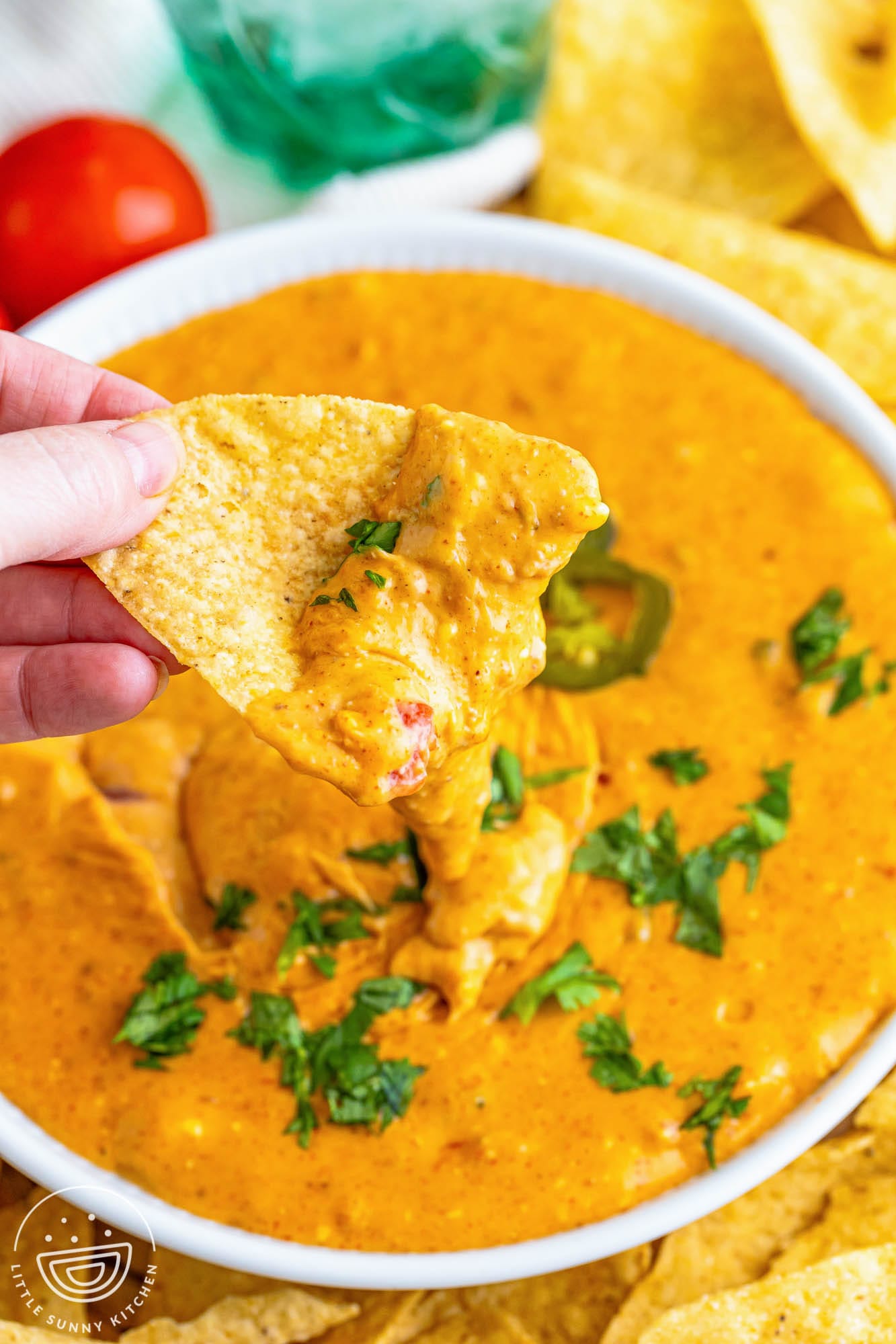 a hand holding a tortilla chip dipped in queso, over a bowl of queso.