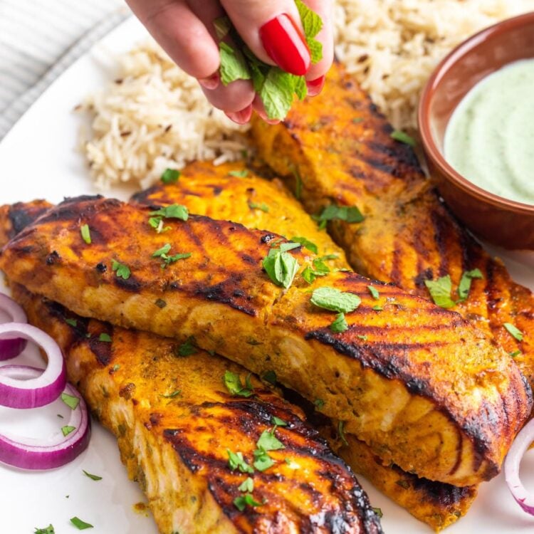 a platter holding tandoori salmon and rice, garnished with fresh cilantro and red onions