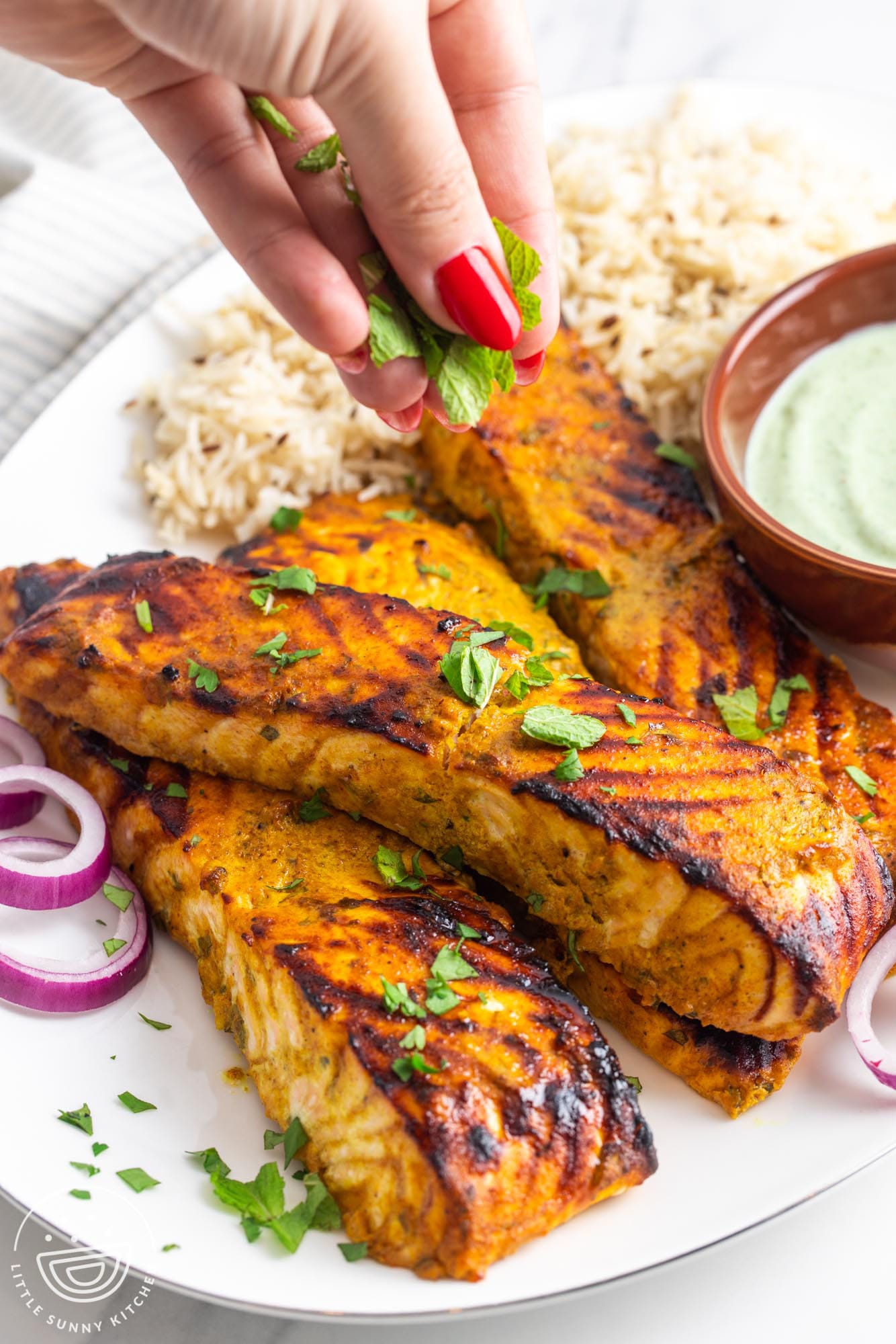 a platter holding tandoori salmon and rice, garnished with fresh cilantro and red onions