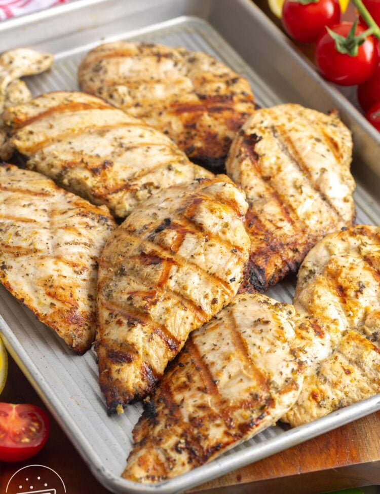 greek grilled chicken cutlets on a small sheet pan.