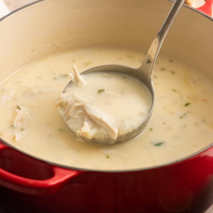 a red dutch oven filled with avgolemono - greek lemon chicken soup.