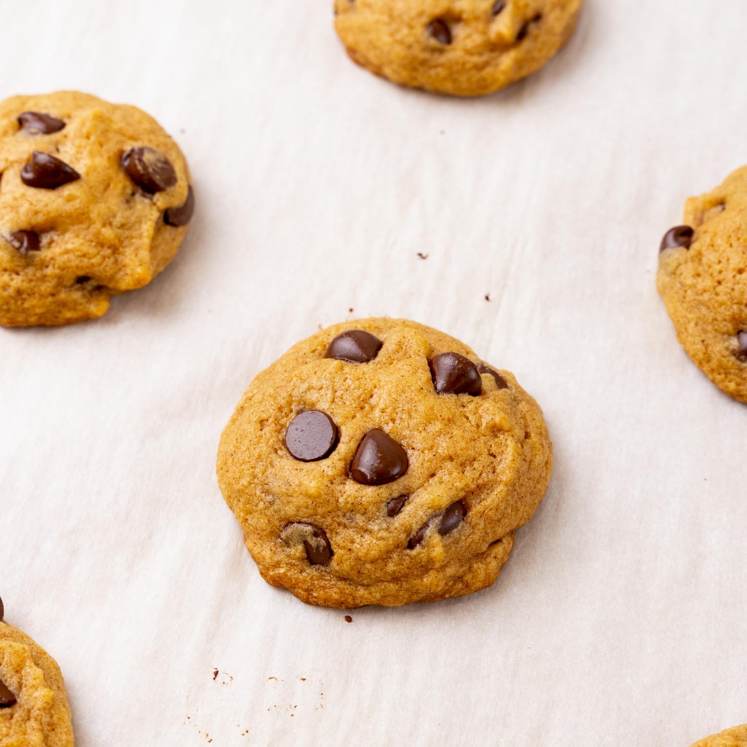 baked pumpkin and chocolate chip cookies on parchment paper.