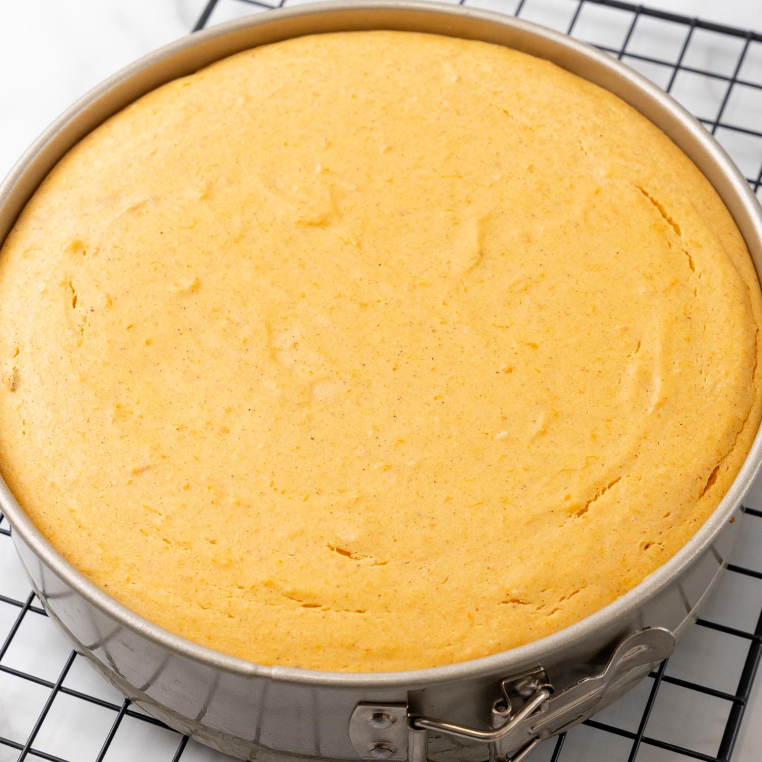 baked sweet potato cheesecake in a metal round springform pan.