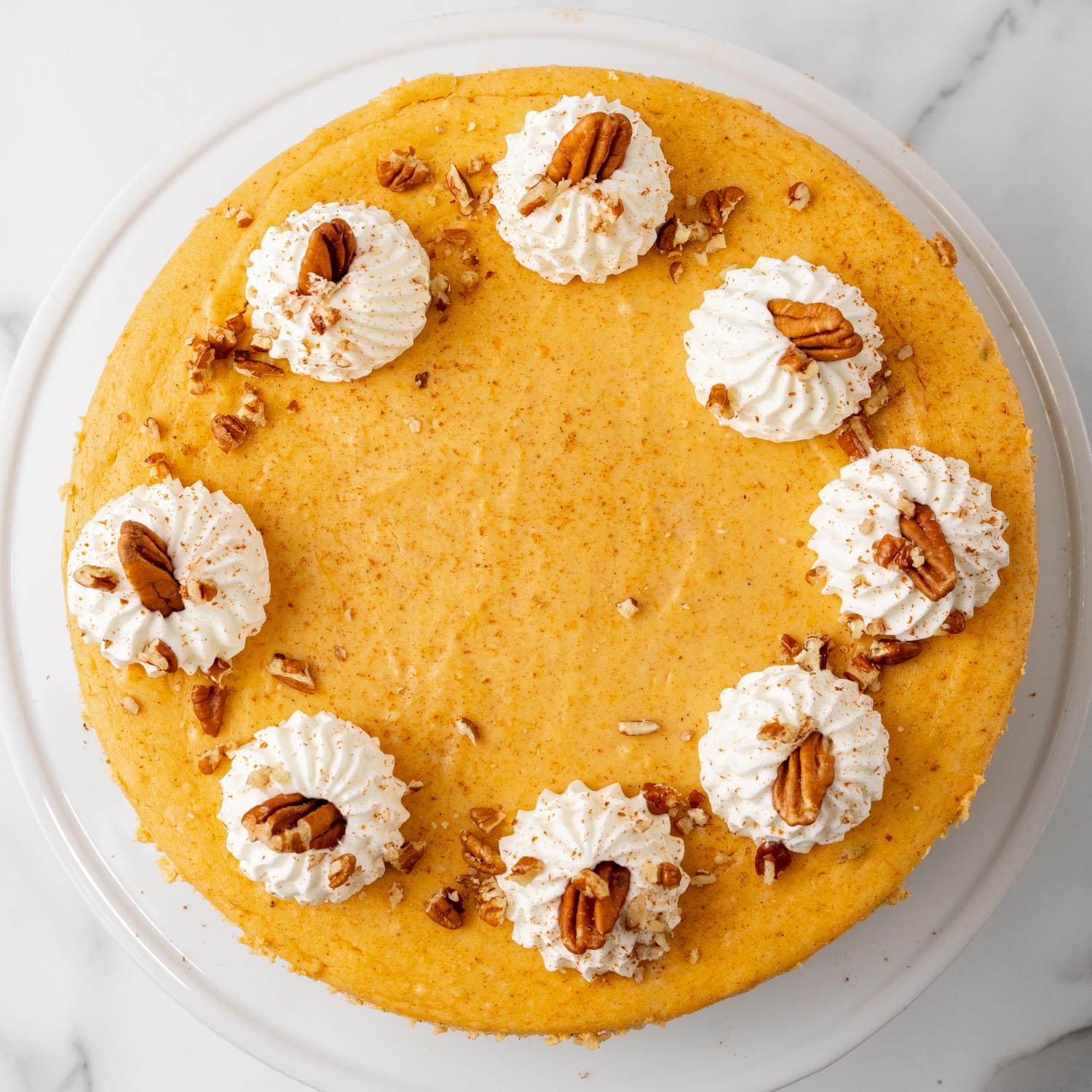 overhead view of a baked sweet potato cheesecake topped with dollops of whipped cream around the outside, sprinkled with chopped pecans.