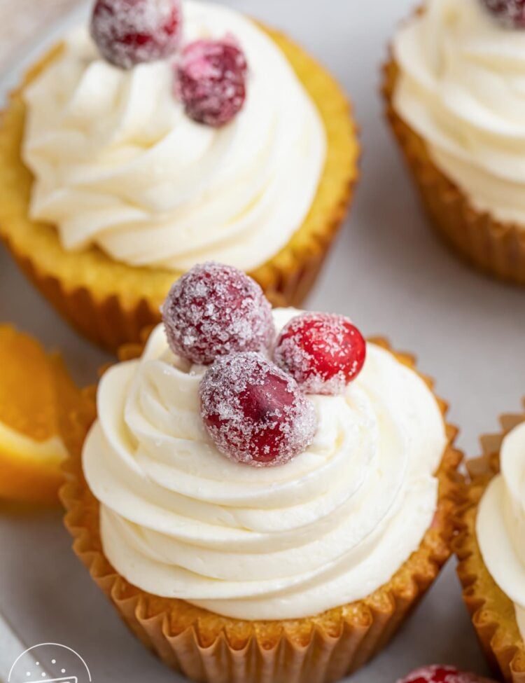 cranberry orange cupcakes, viewed from above. The cupcakes have vanilla frosting swirls and sugared cranberries on top.