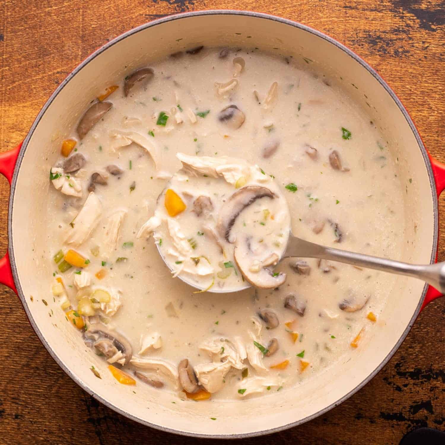 Creamy soup with carrots, mushrooms and chicken in a pot, served with a ladle.