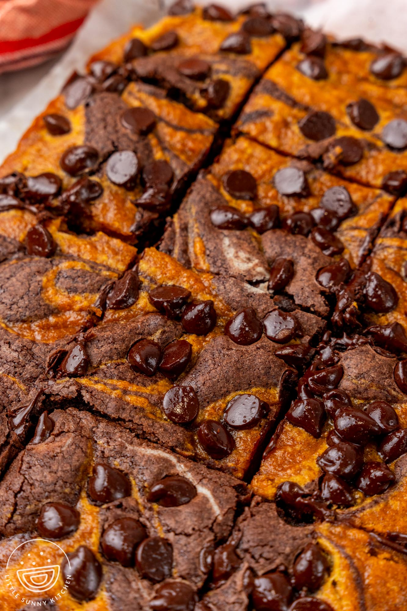 a pan of pumpkin swirled brownies with chocolate chips on top, cut into squares.