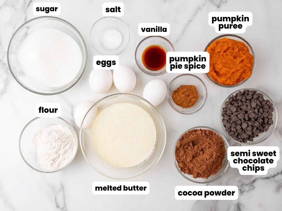 The ingredients needed to make pumpkin brownies with melted butter, eggs, cocoa powder, and pumpkin puree.