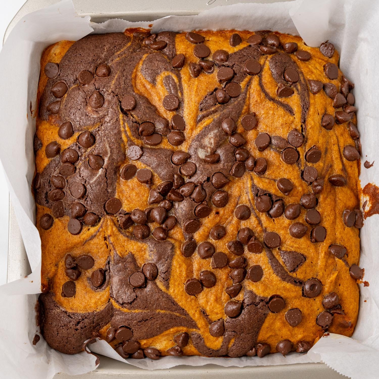 a square pan of baked brownies with pumpkin swirl and chocolate chips.