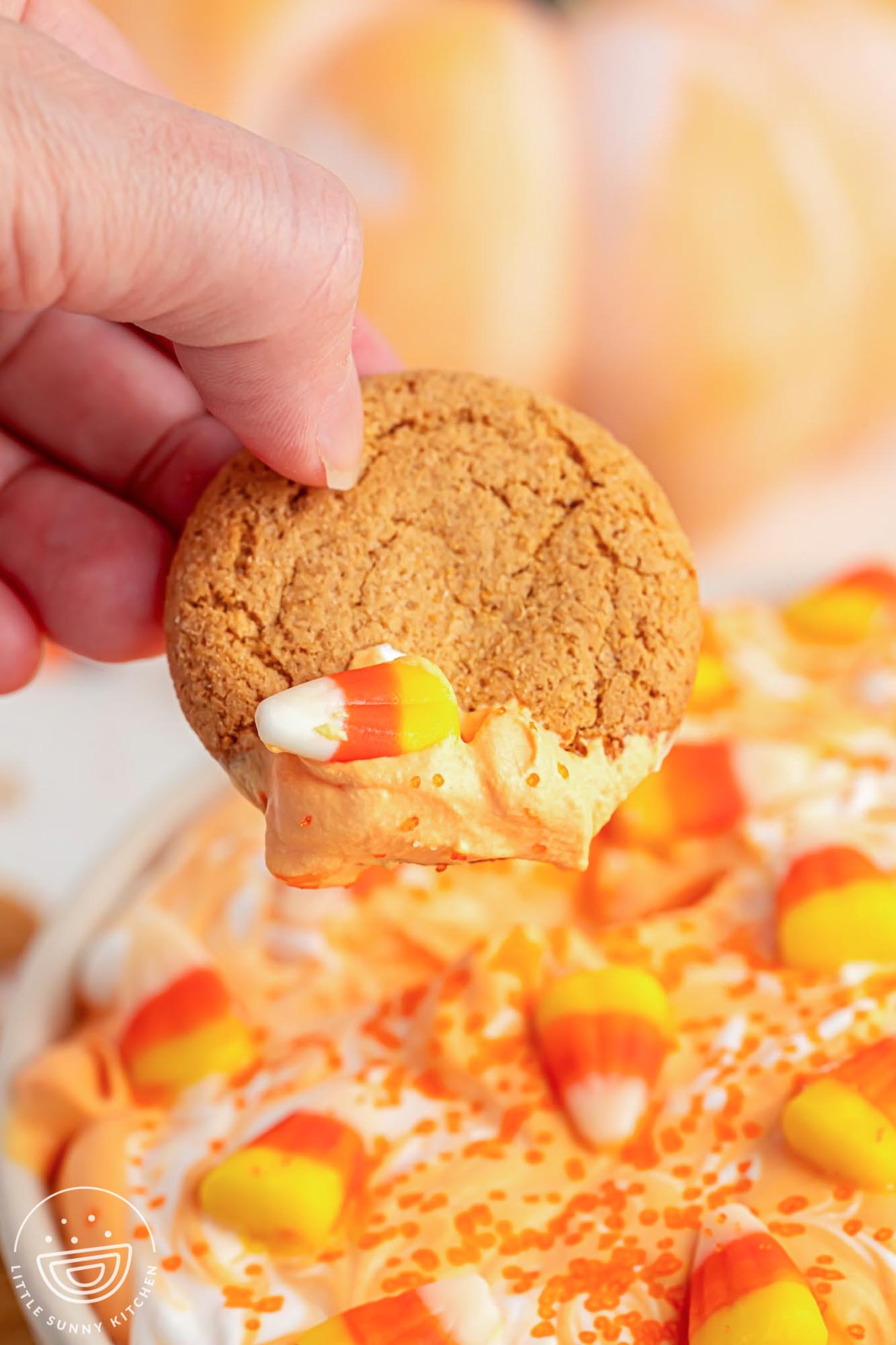 Dipping a gingersnap cookie into a candy corn dip