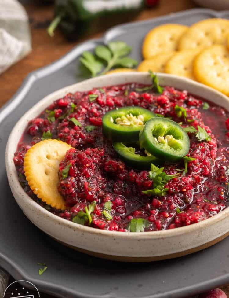 a bowl of cranberry salsa with a cracker in it.